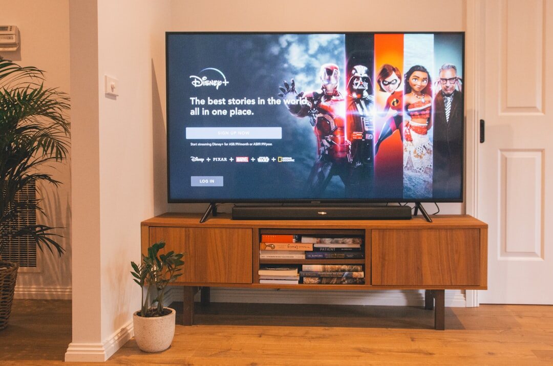 flat screen television
